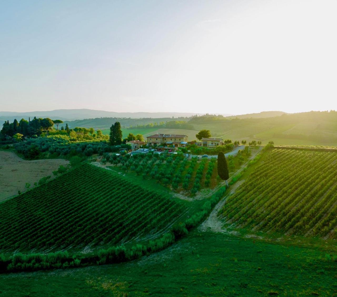 Vittoria Chianti Vacations Daire Poggibonsi Dış mekan fotoğraf