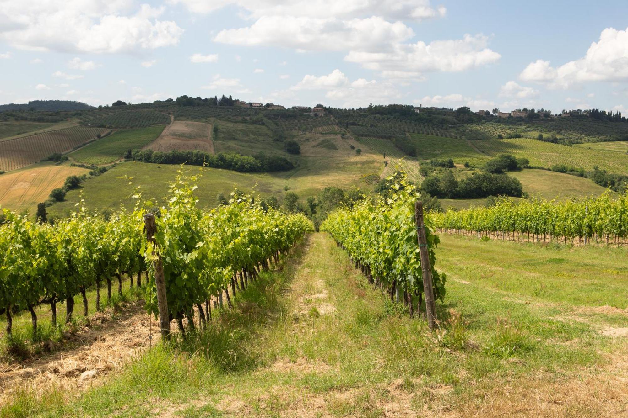 Vittoria Chianti Vacations Daire Poggibonsi Dış mekan fotoğraf