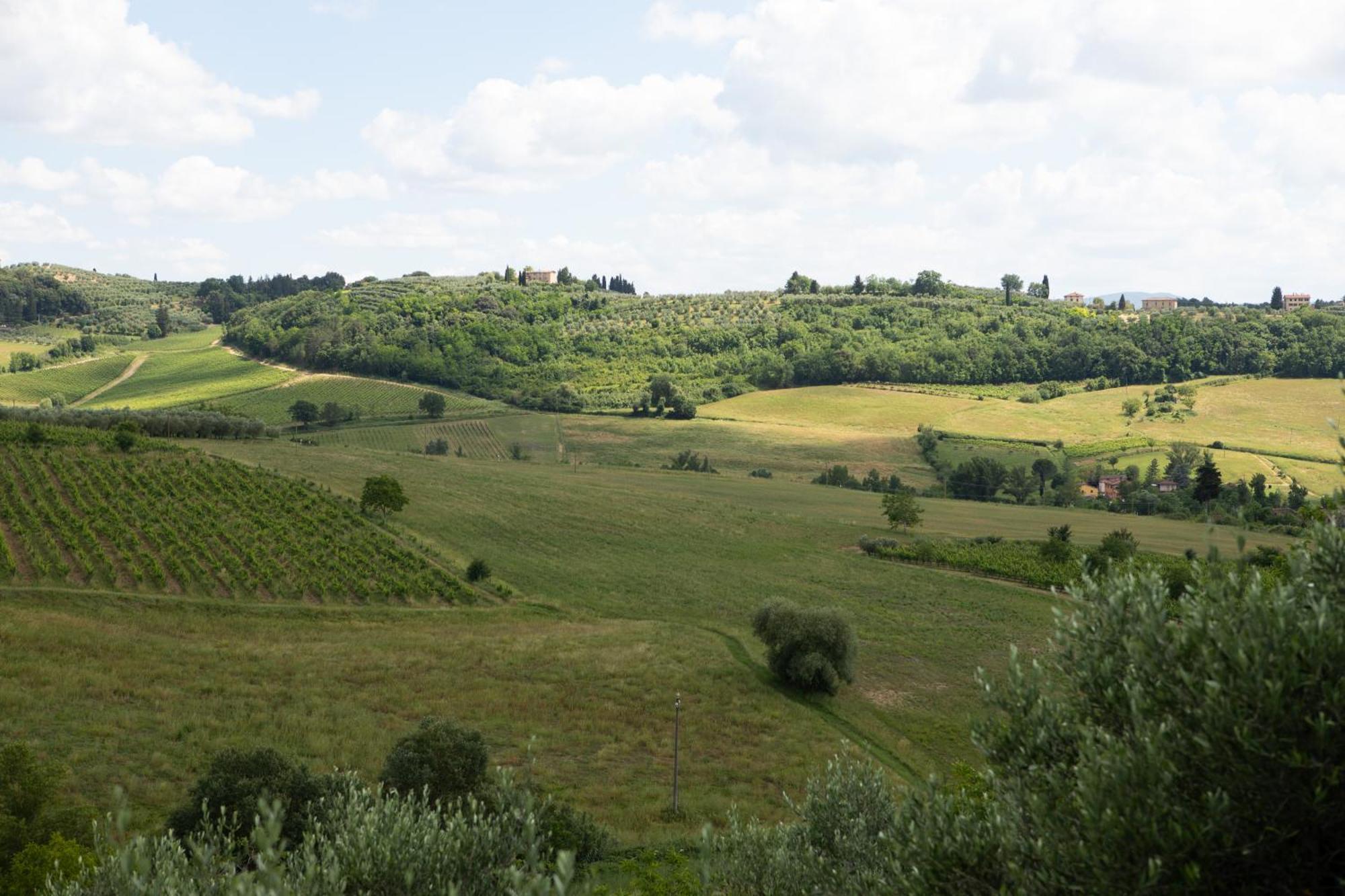 Vittoria Chianti Vacations Daire Poggibonsi Dış mekan fotoğraf